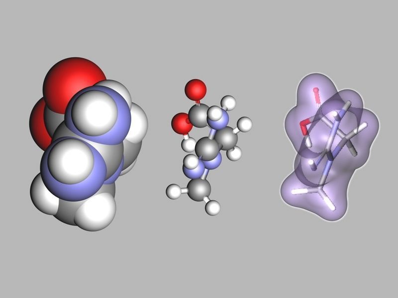 Creatine molecule 3D model_5