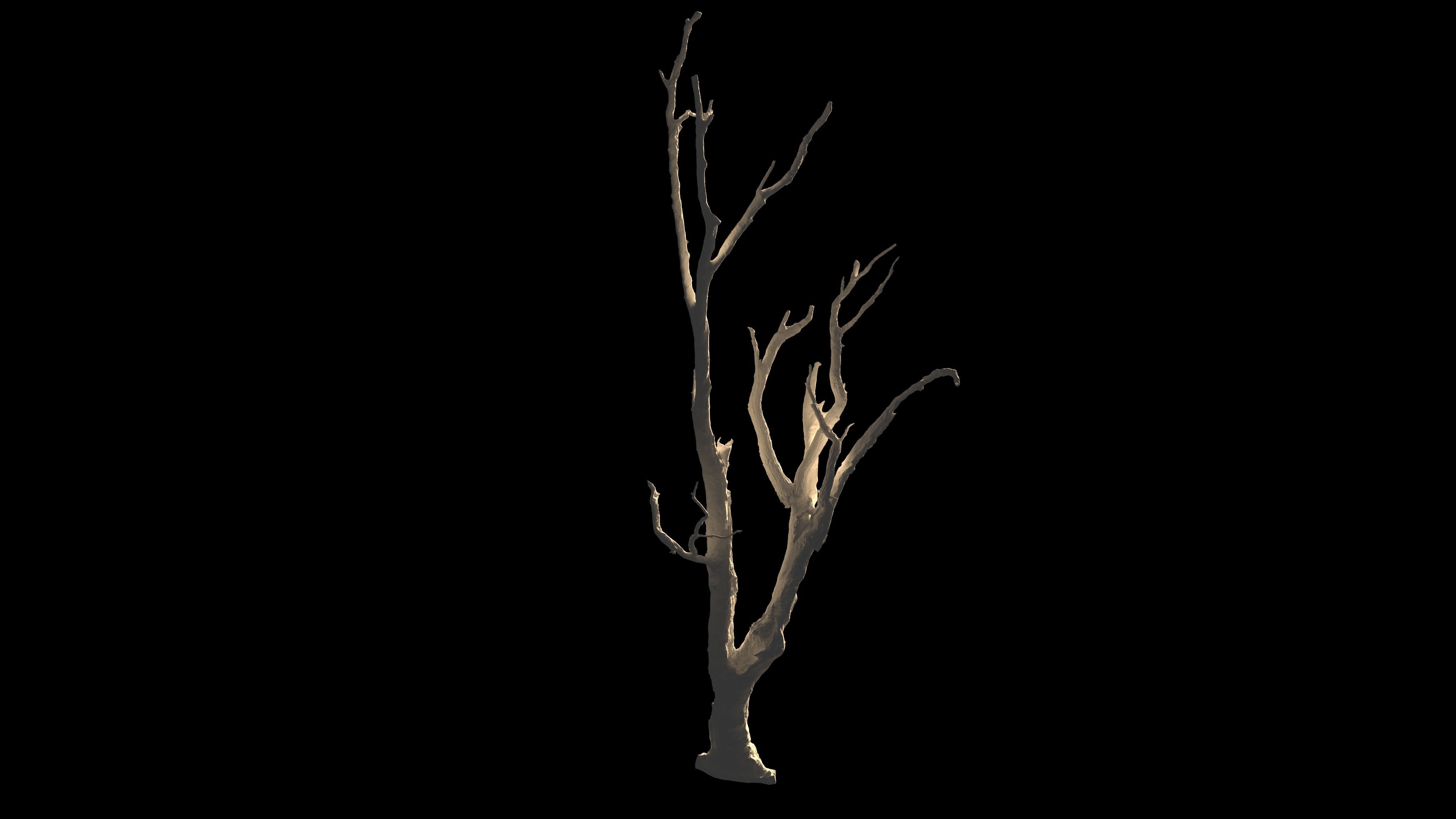 Desert Sand Dune Landscape modular Low-poly 3D model_8