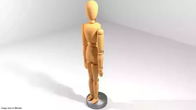 Mannequin - Human Fiqure