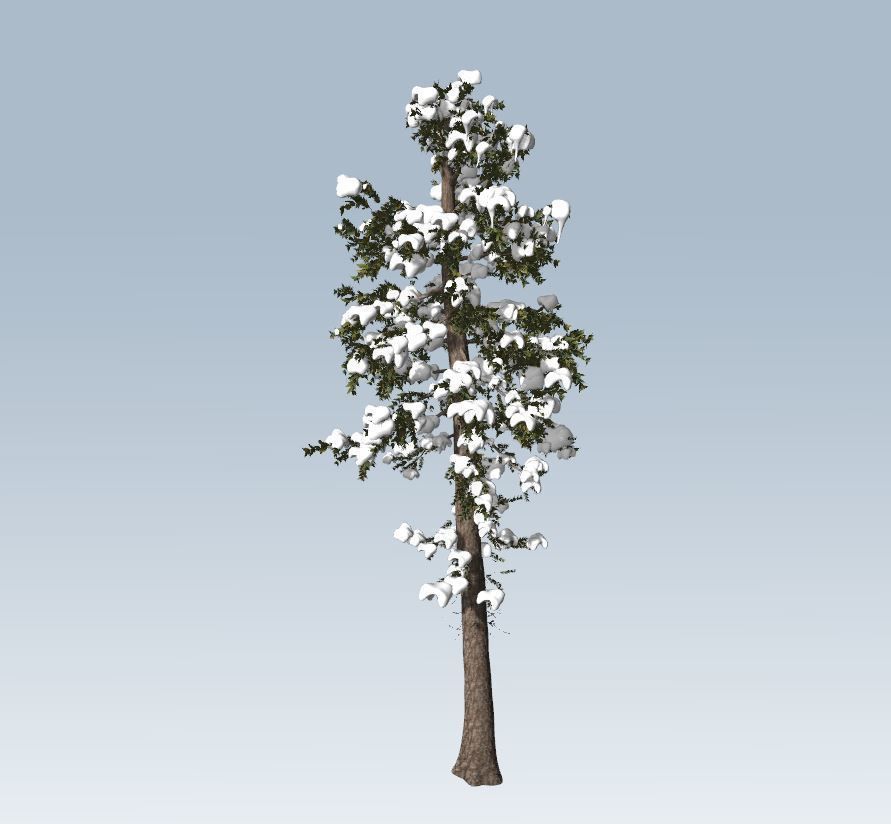 Winter fir tree  3D model_2