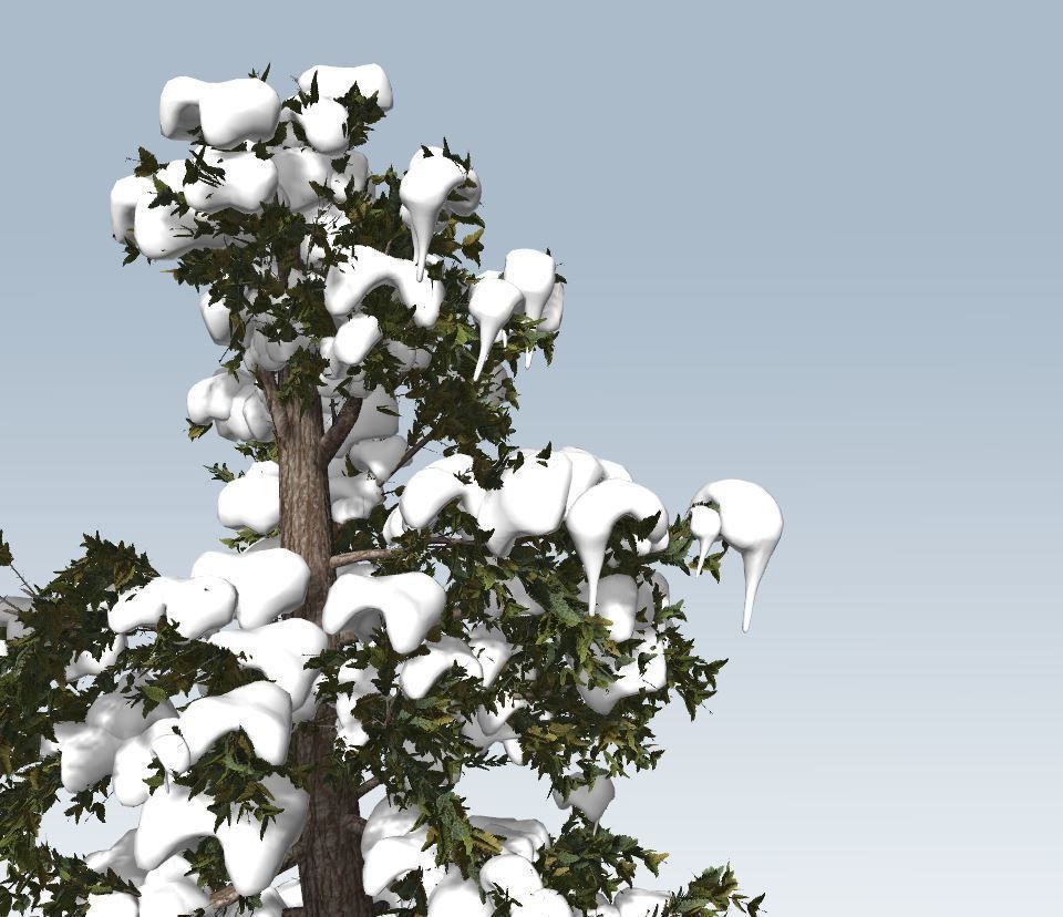 Winter fir tree  3D model_11