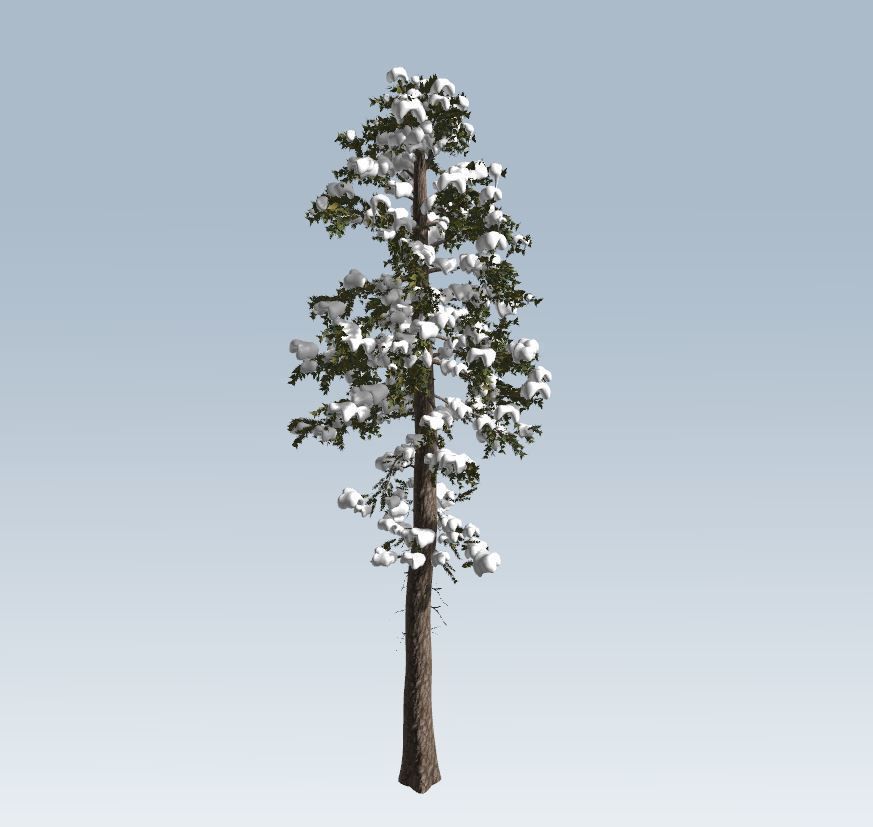Winter fir tree  3D model_7
