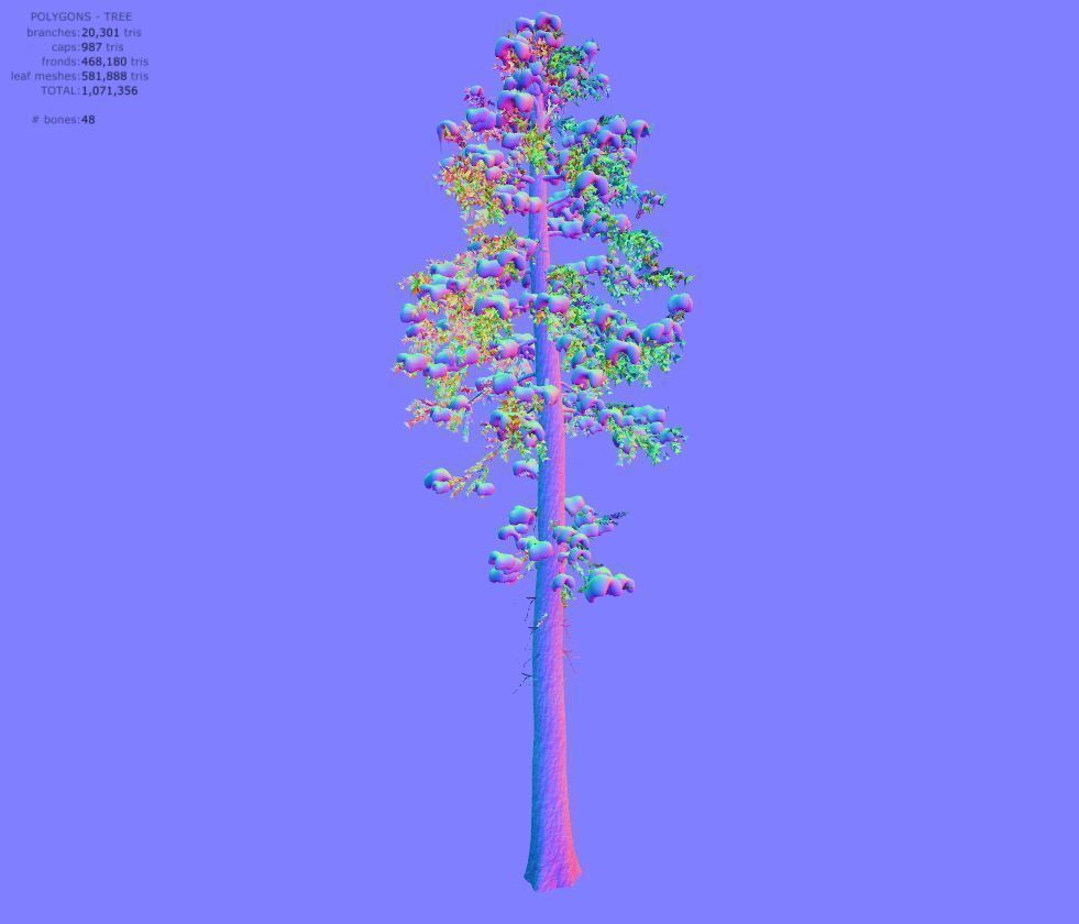 Winter fir tree  3D model_14