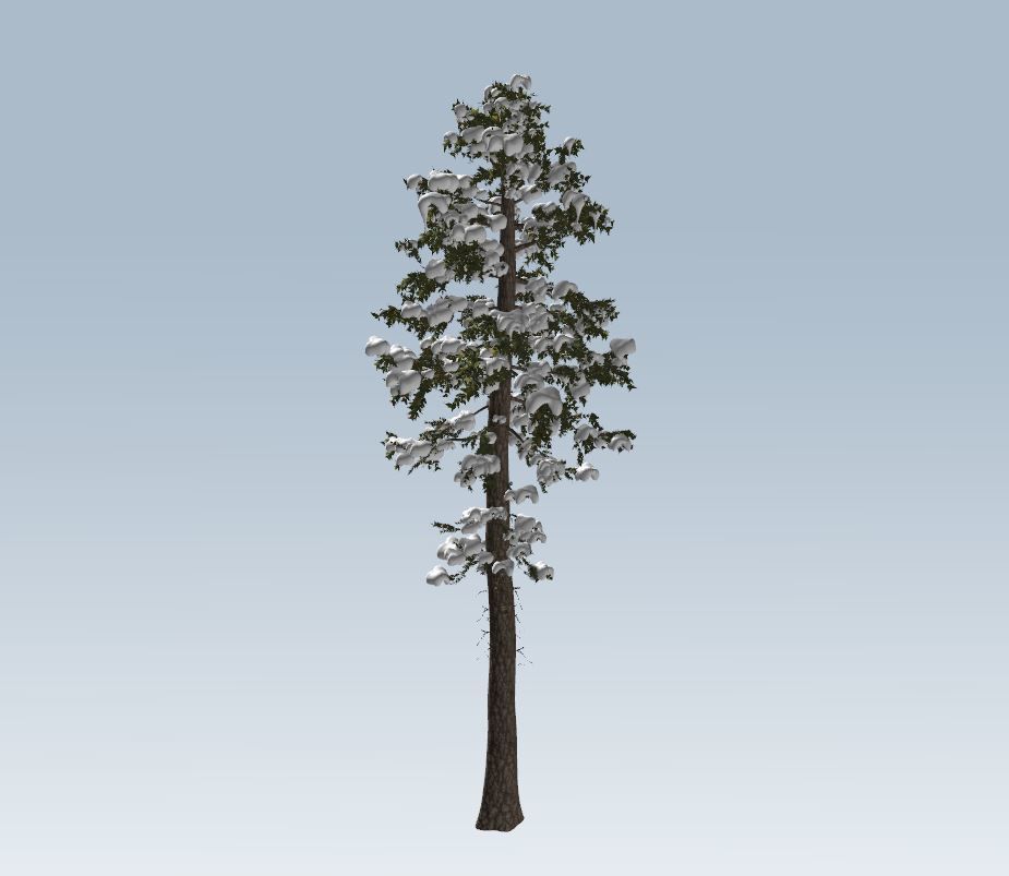 Winter fir tree  3D model_4