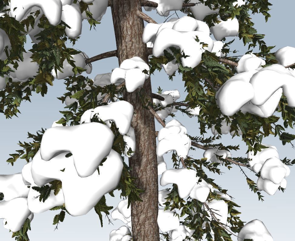 Winter fir tree  3D model_9