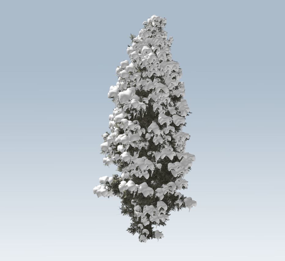 Winter cedar tree 3D model_4