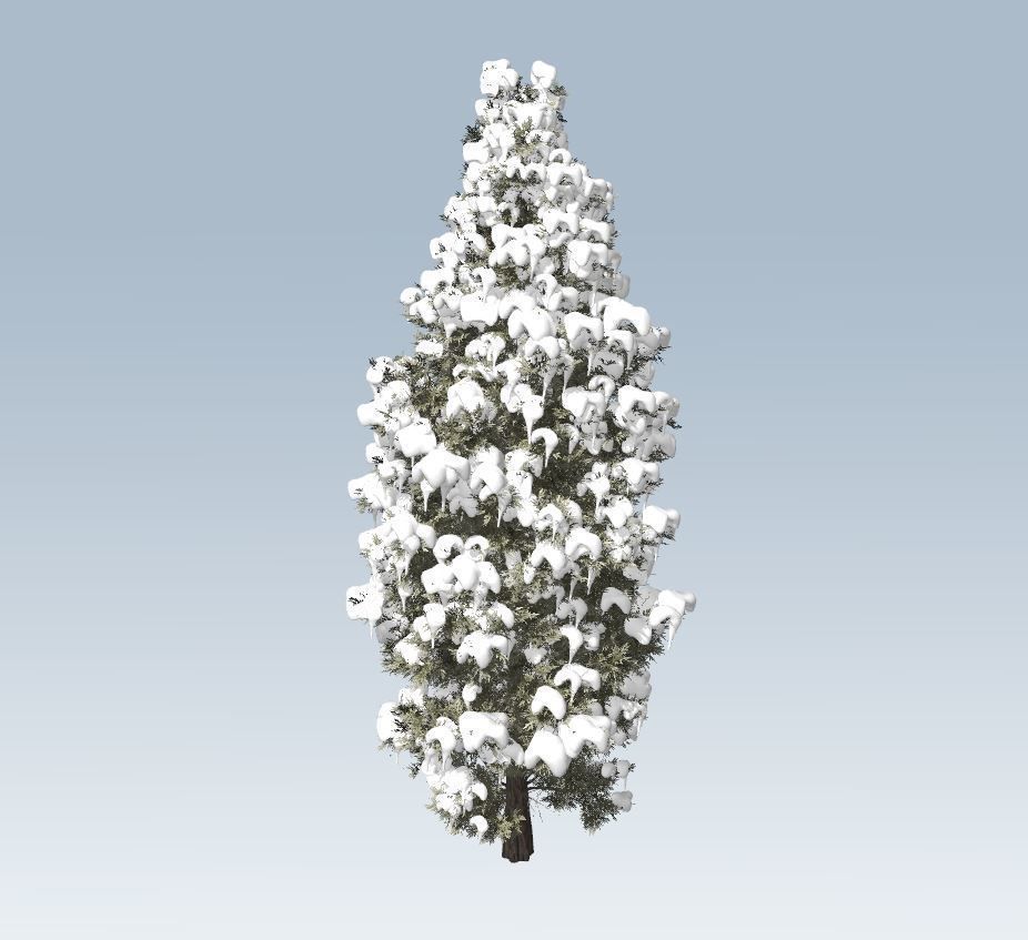 Winter cedar tree 3D model_1