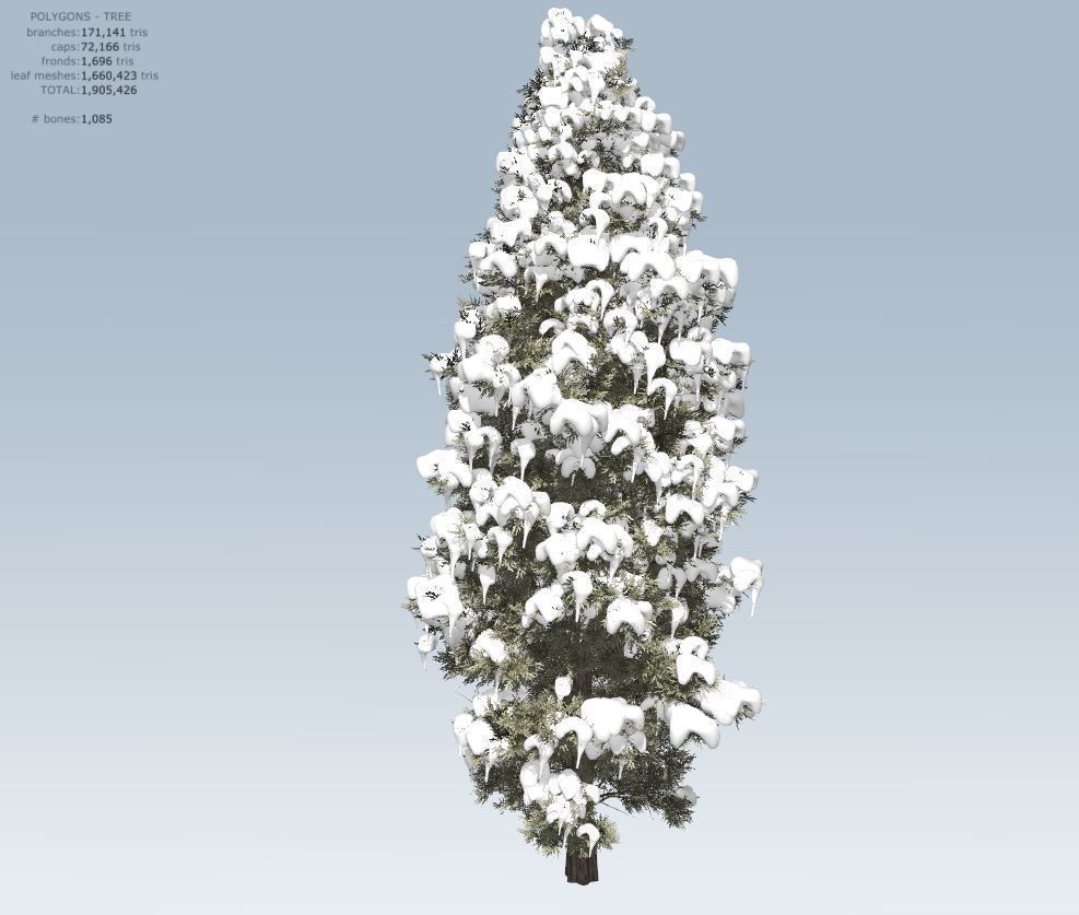 Winter cedar tree 3D model_15