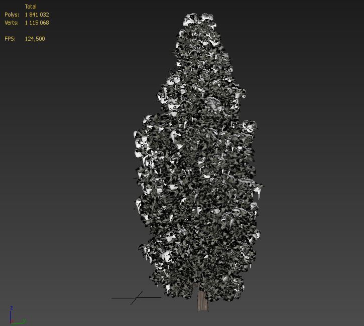 Winter cedar tree 3D model_18