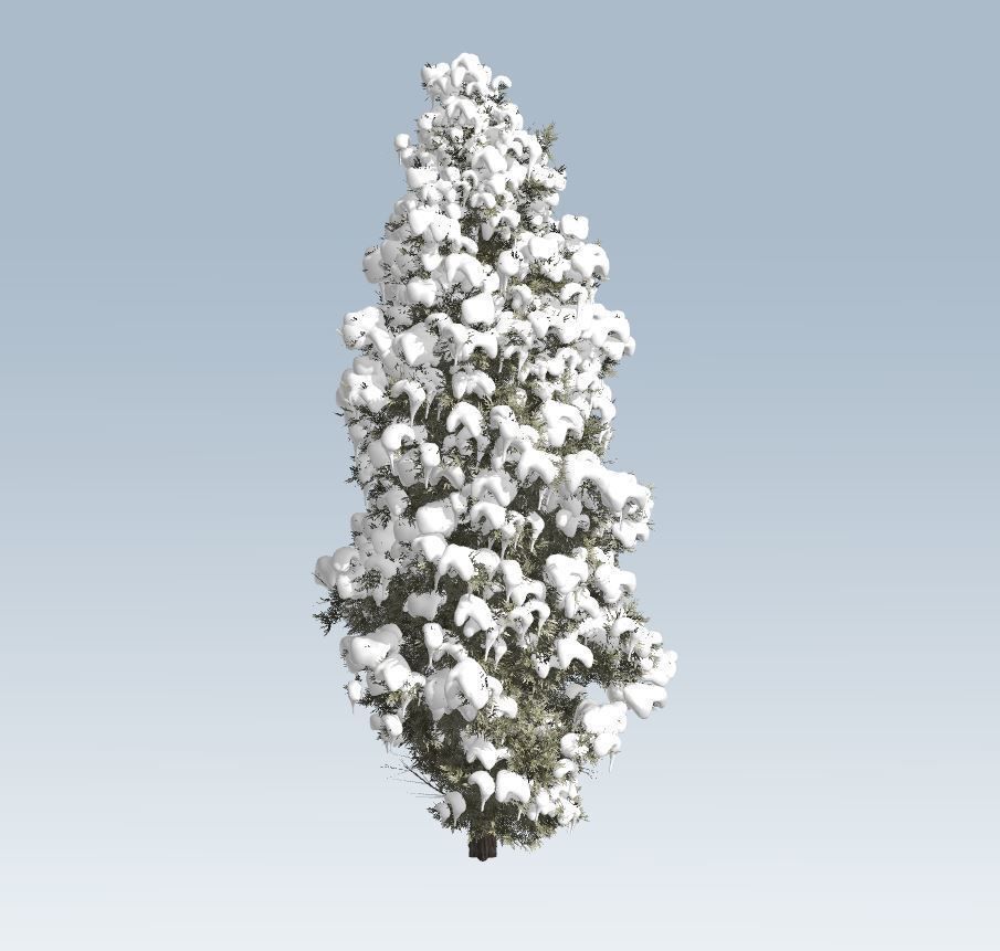 Winter cedar tree 3D model_9