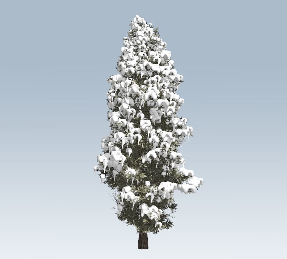 Winter cedar tree 3D model_11