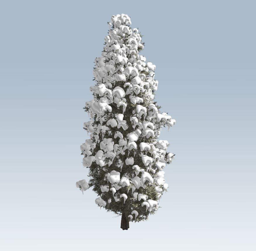 Winter cedar tree 3D model_8