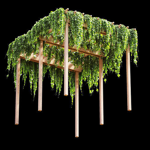 Pergola with grape leaves v2 3D model