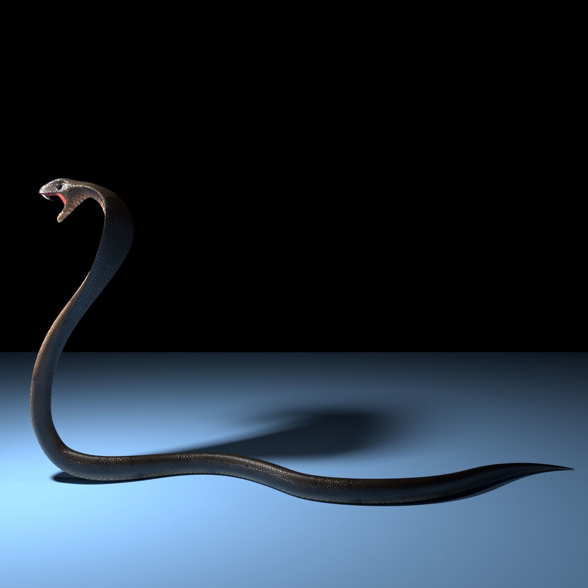 Snake cobra Free low-poly 3D model_2