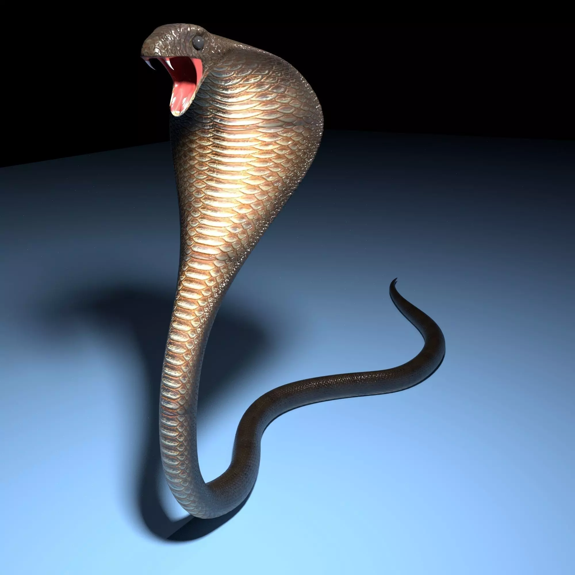 Snake cobra Free low-poly 3D model_0
