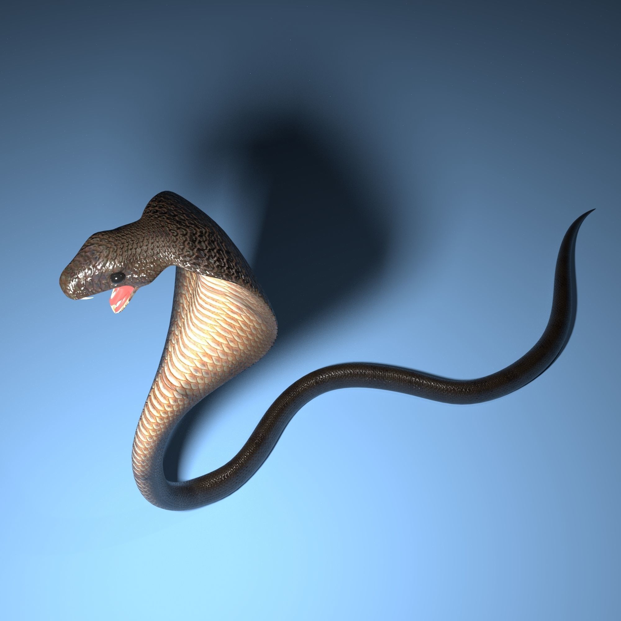 Snake cobra Free low-poly 3D model_3