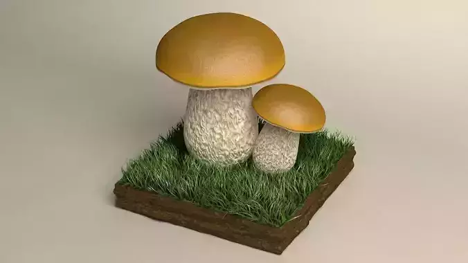 mushroom cepe