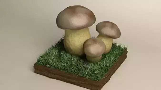 mushroom boletus