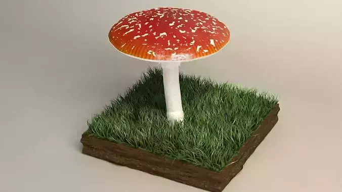 mushroom amanita