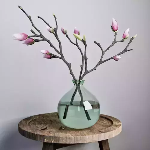 Magnolia in Vase