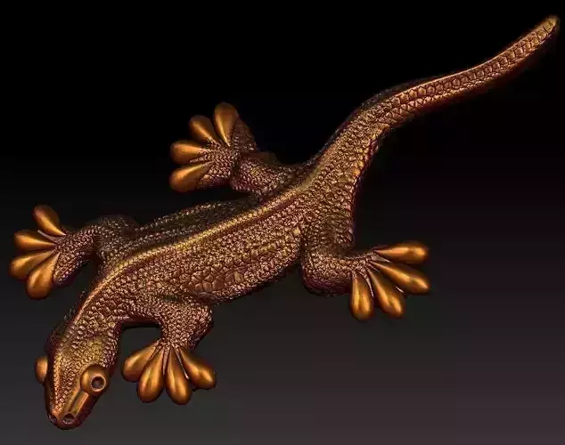 Lizard bronze gecko