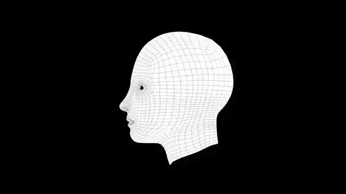 Human Face Base Mesh Low-poly 3D model