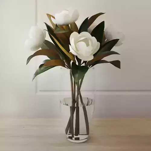 Magnolia white flower