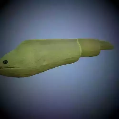 Green Eel