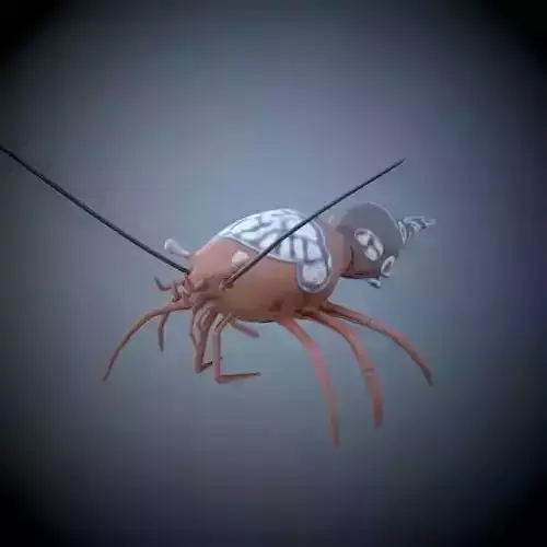 Shrimp 3D model