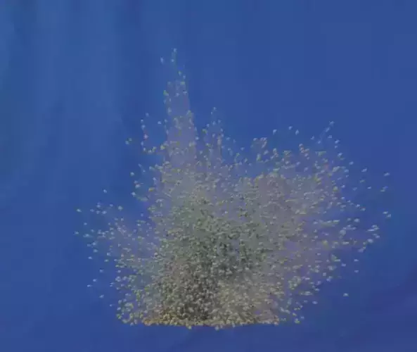 Houdini Sand and Smoke Impact Explosion Toolkit 3D model