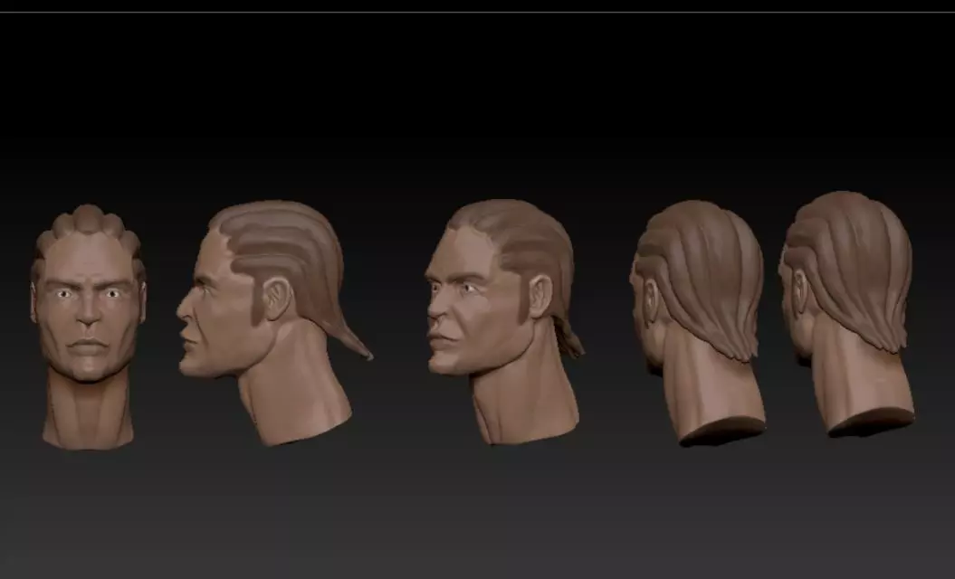 head anatomy Free 3D model