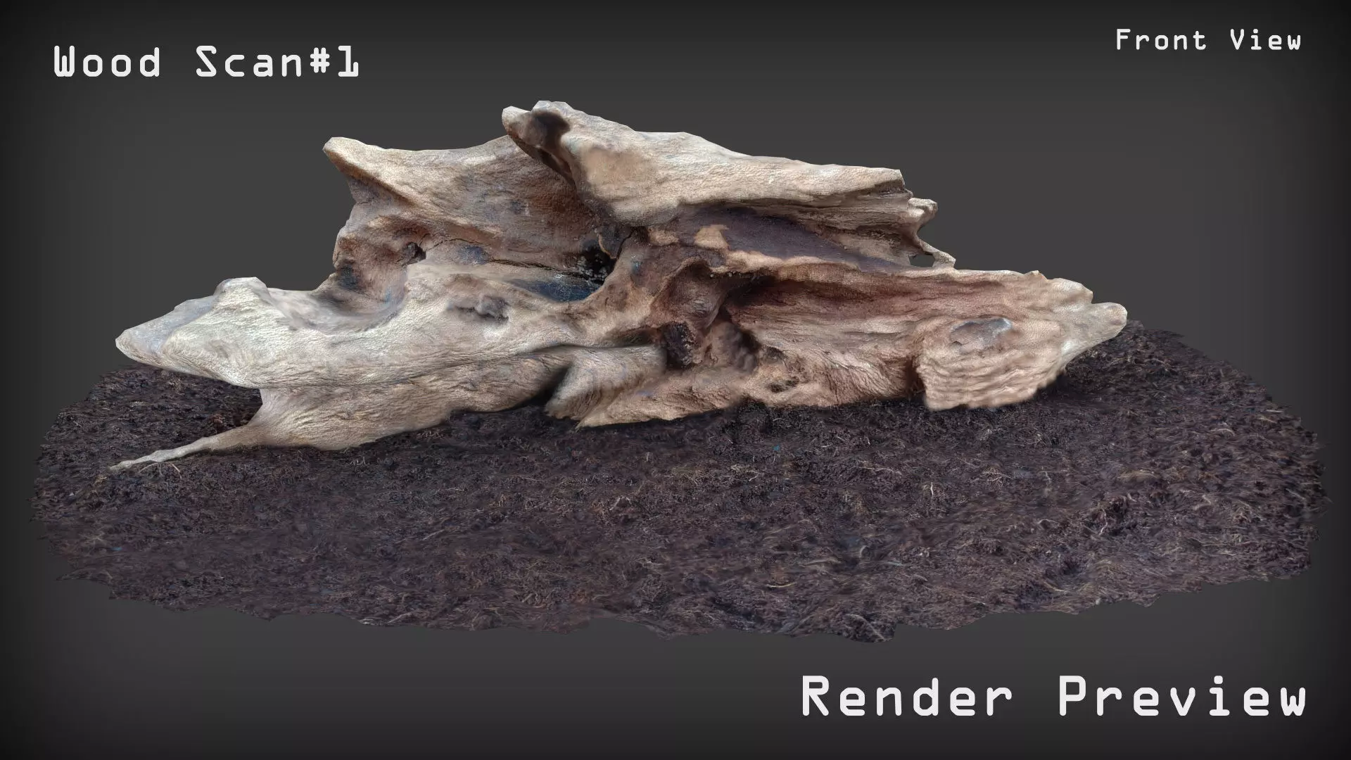 High Detail Wood Scan 1 3D model