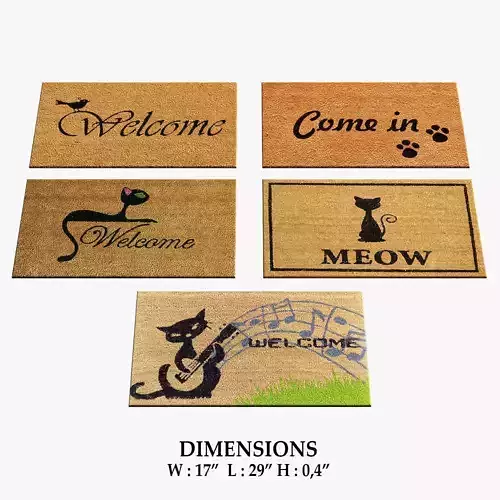 Doormat Rugs 154