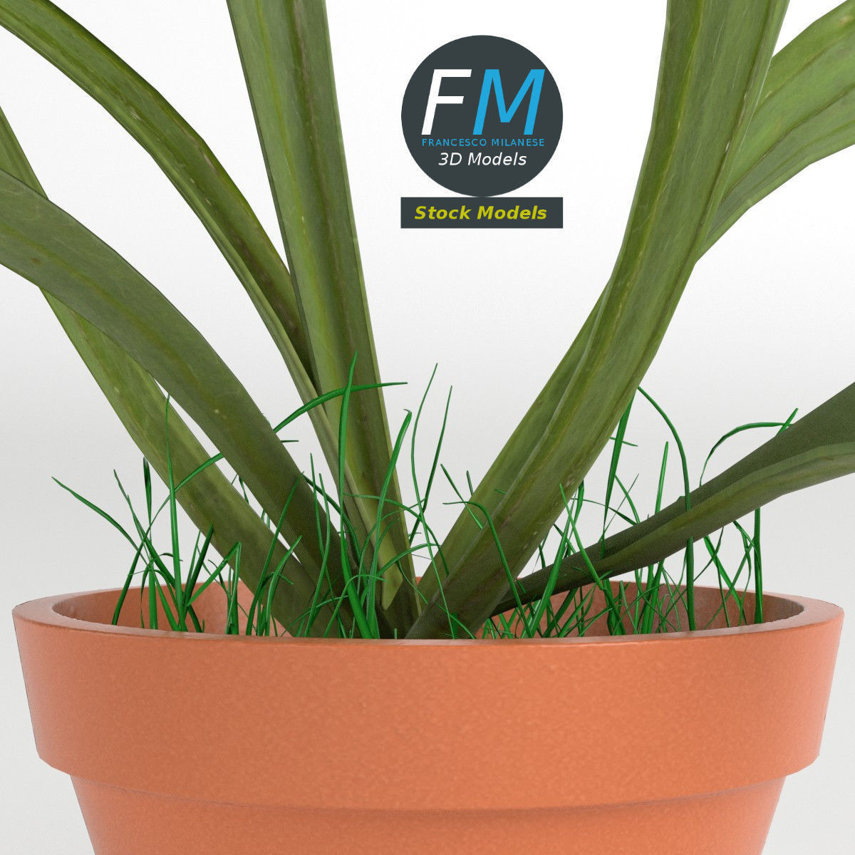 Potted plant 1 3D model_3