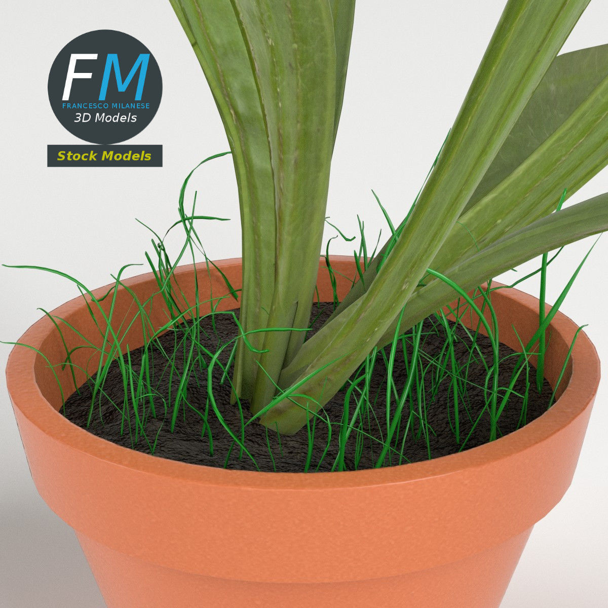 Potted plant 1 3D model_4