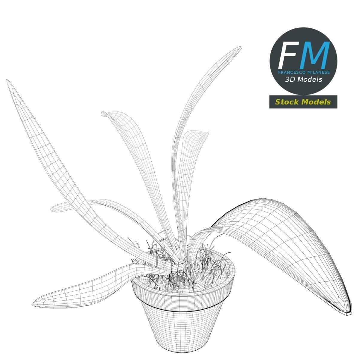 Potted plant 1 3D model_7
