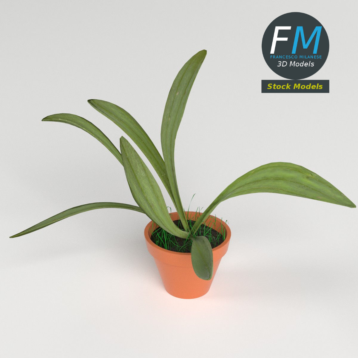 Potted plant 1 3D model_2