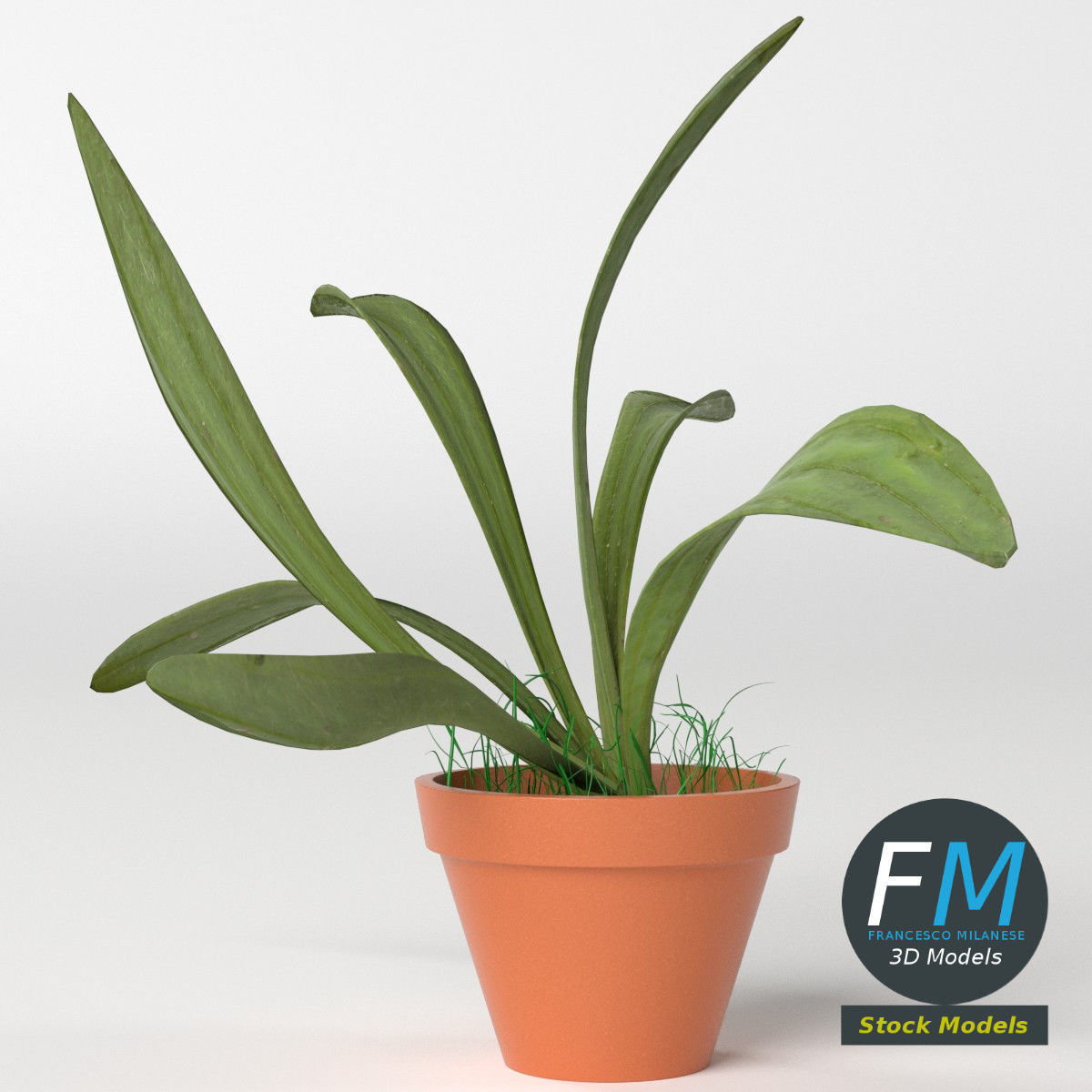 Potted plant 1 3D model_5