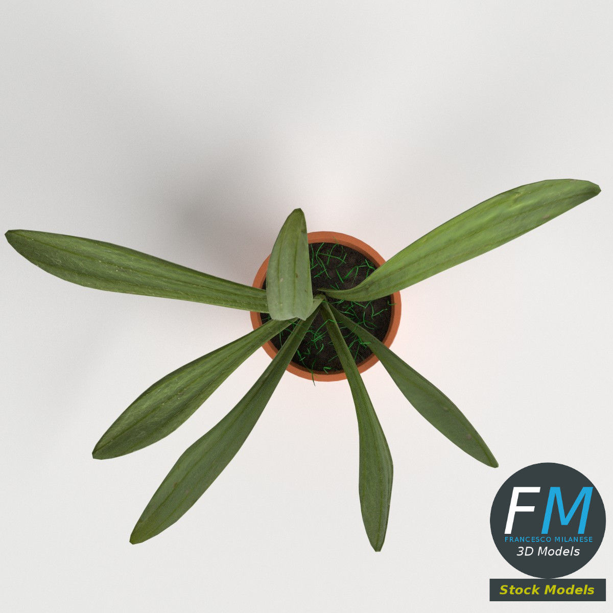 Potted plant 1 3D model_6
