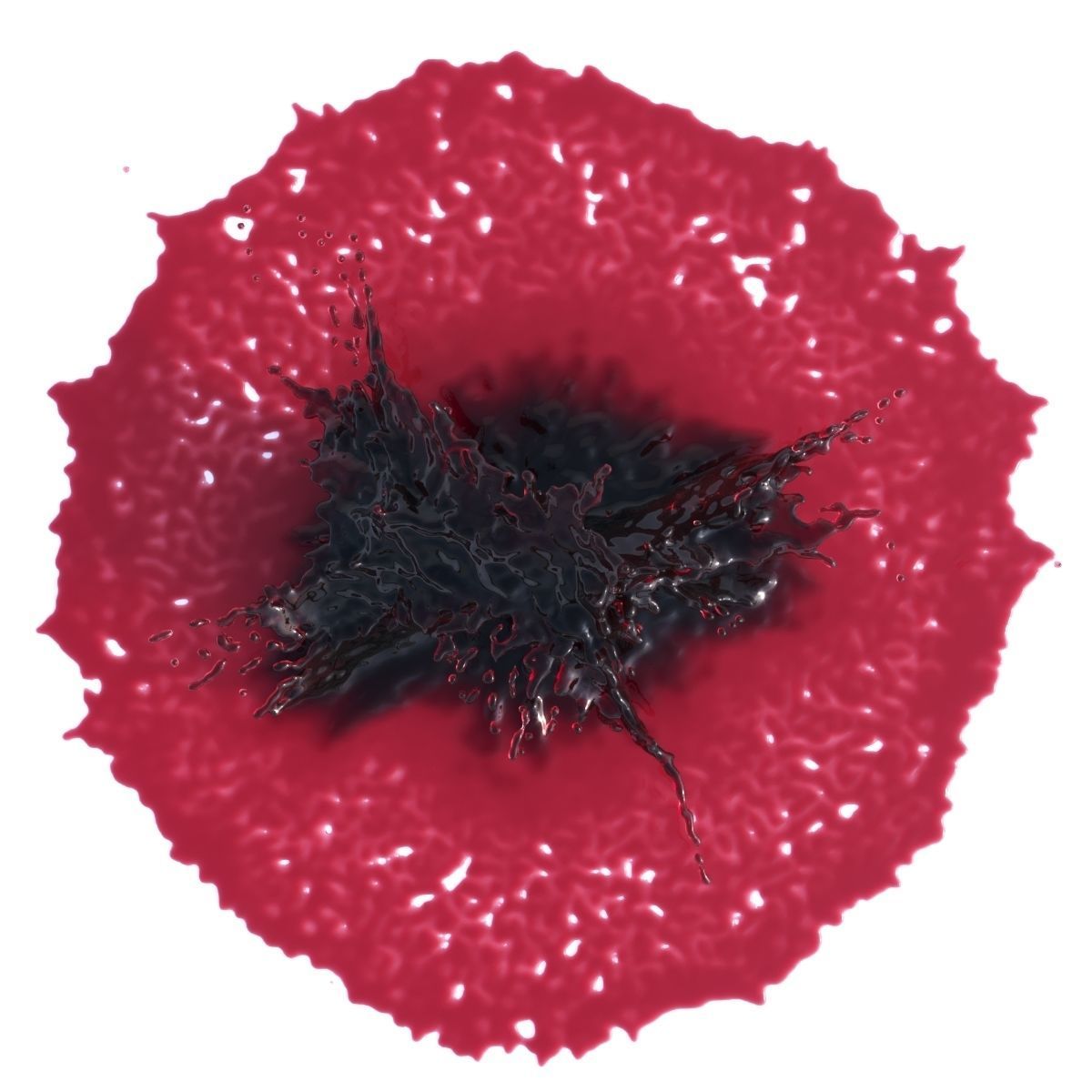 Splash Stain 4 3D model_6