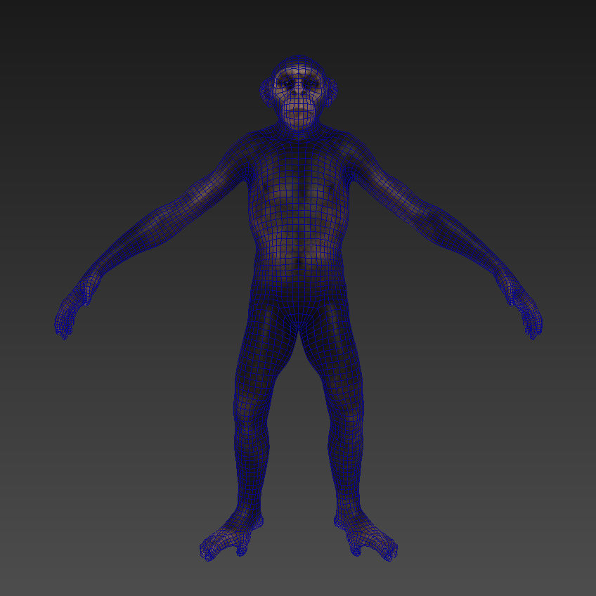 Low Poly Monkey Ape Chimp Chimpanzee Primate Early Man Low-poly 3D model_7