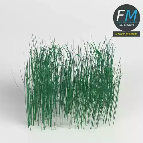 High grass module