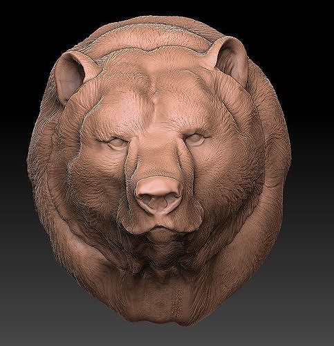 The head of the bear 3D print model