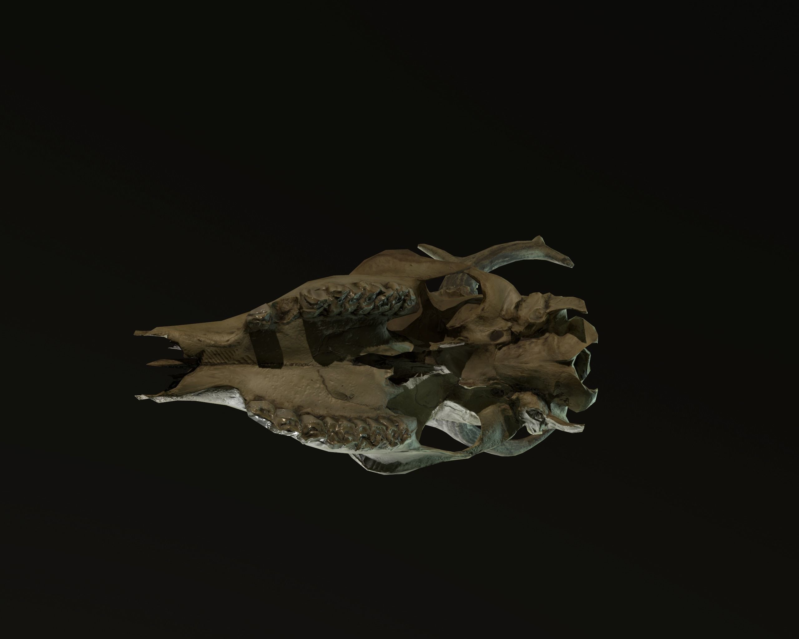 Deadly Skull 01 Low-poly 3D model_6
