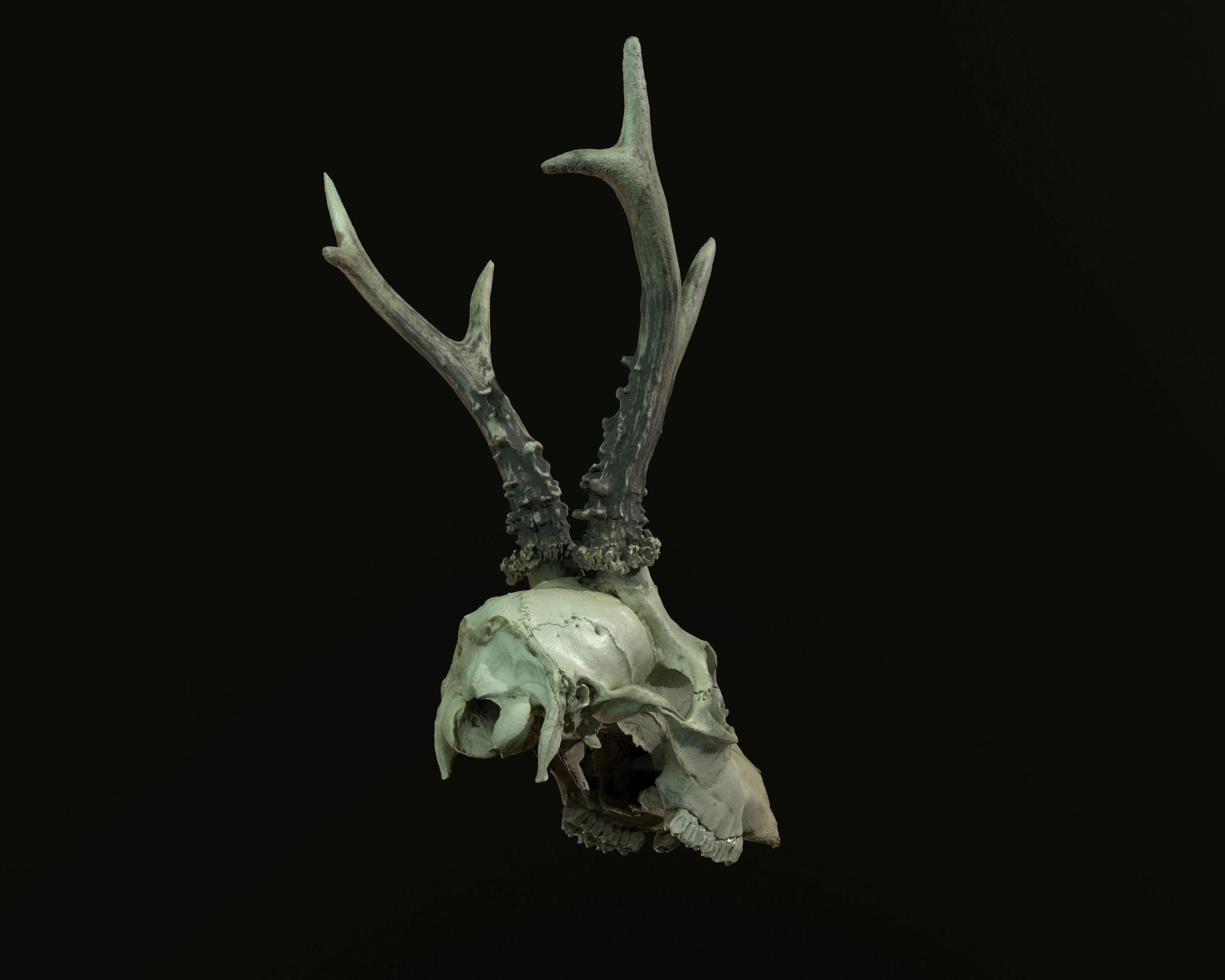 Deadly Skull 01 Low-poly 3D model_11