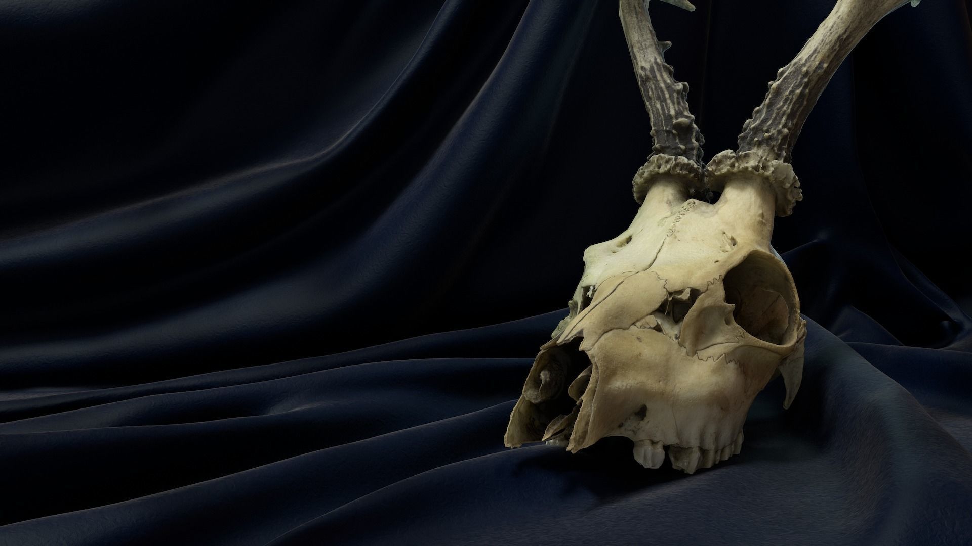 Deadly Skull 01 Low-poly 3D model_2