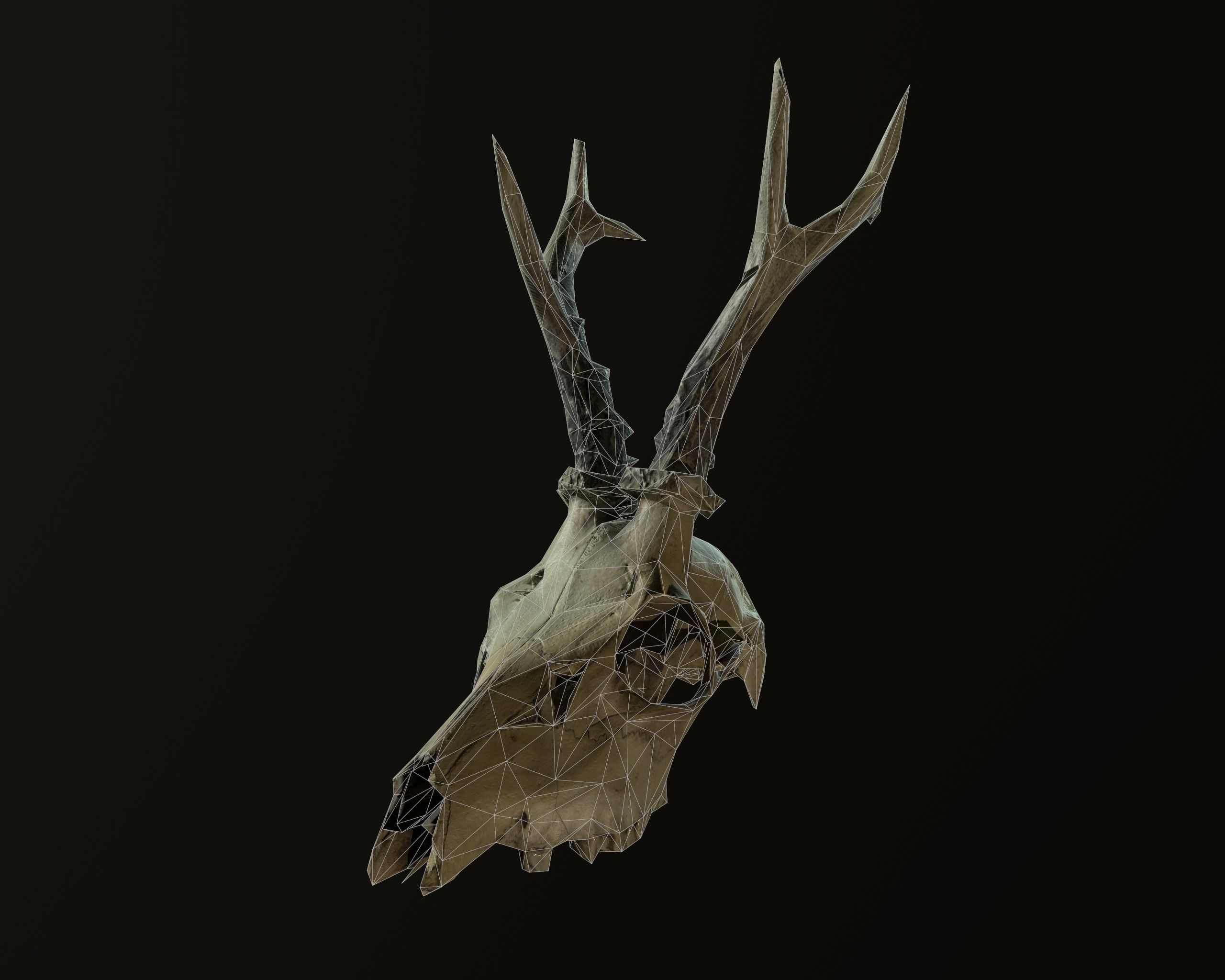 Deadly Skull 01 Low-poly 3D model_8