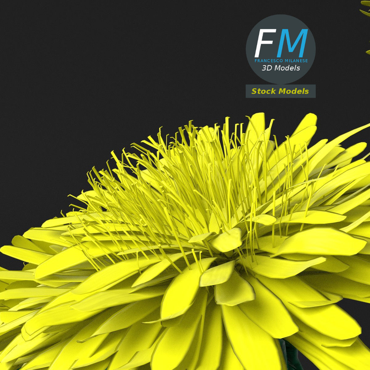 Dandelion flowers in a vase 3D model_5