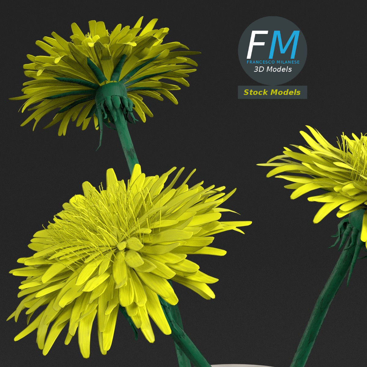 Dandelion flowers in a vase 3D model_3
