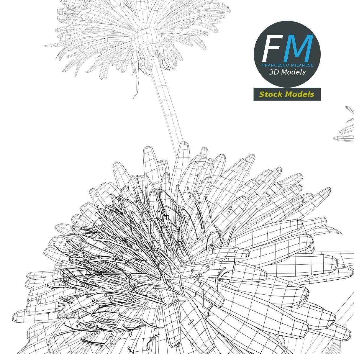 Dandelion flowers in a vase 3D model_8